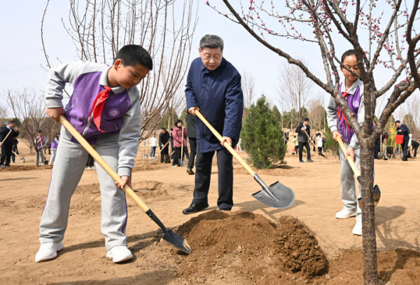 微信图片_20260407110227_280_128.png